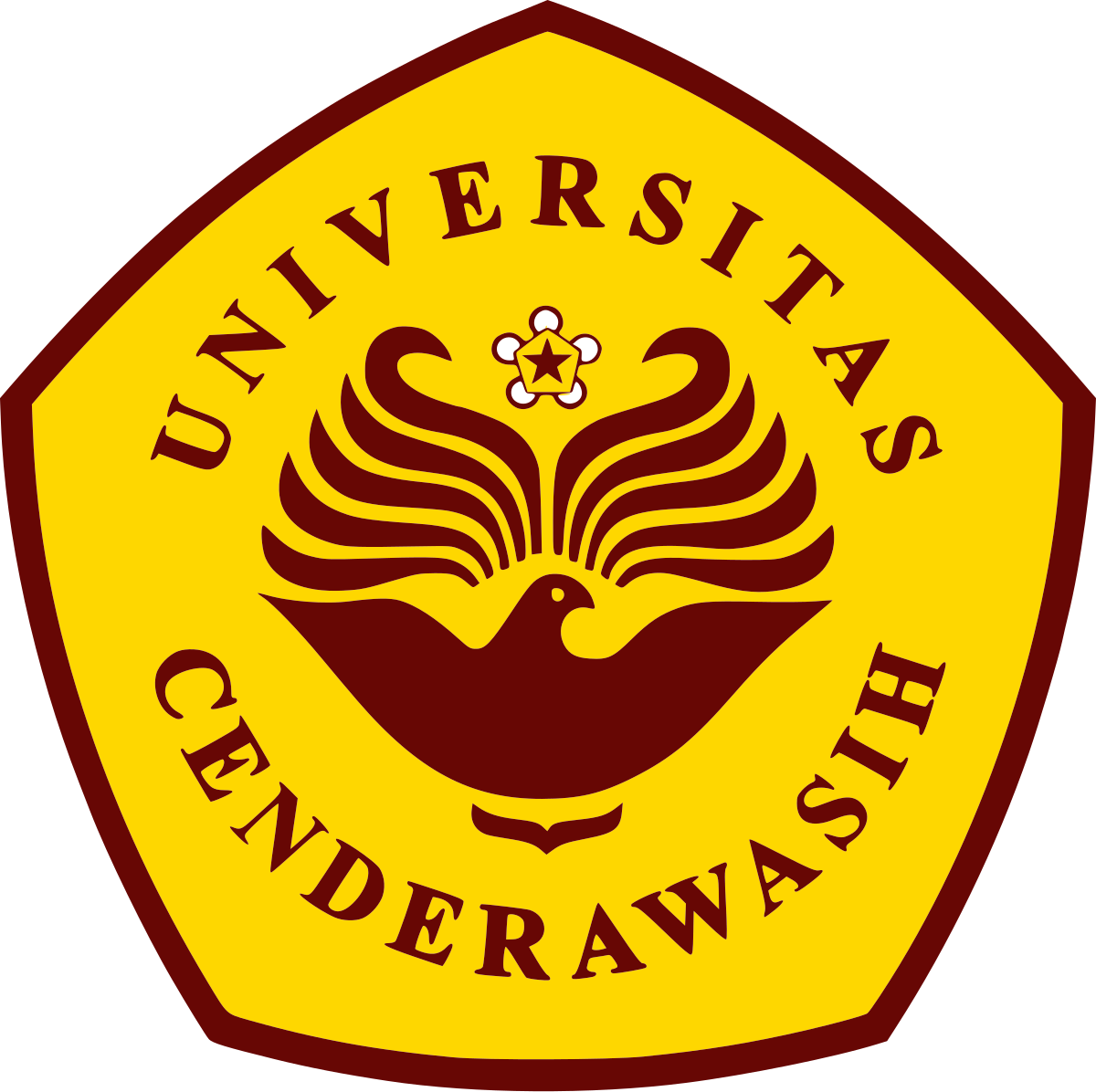 Universitas Cenderawasih
